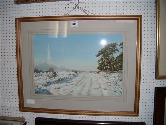 Jane Morgan, winter landscape, Ashdown forest